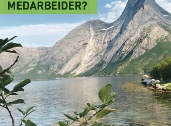 Narvik Vann søker Driftsoperatør Avløp